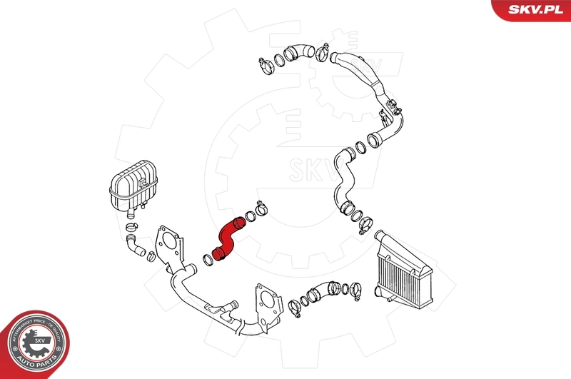 Купить 24SKV002 SKV Патрубок интеркулера