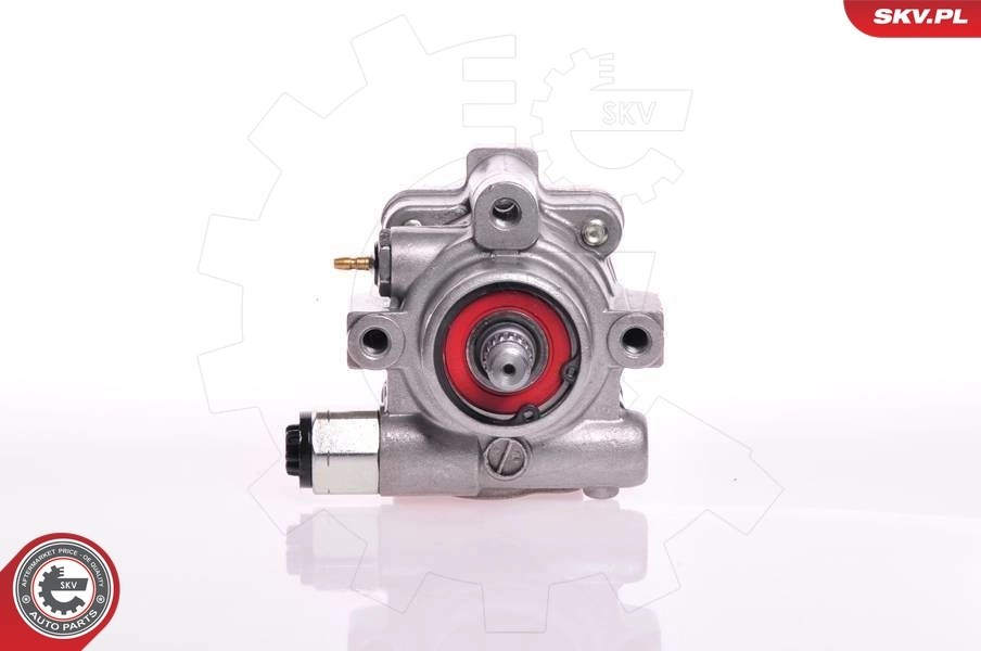 Насос ГУР 10SKV132 SKV