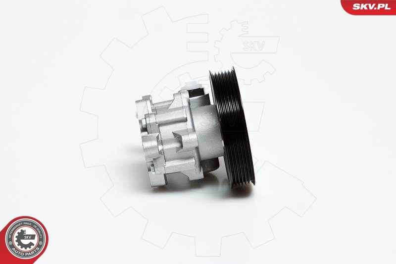 Купить 10SKV022 SKV Насос рулевого управления