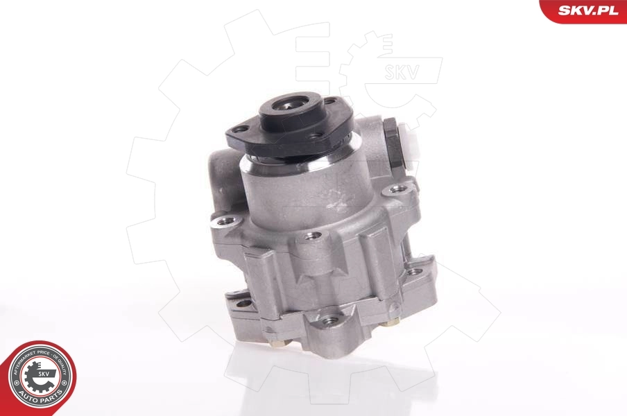 Насос ГУР 10SKV145 SKV