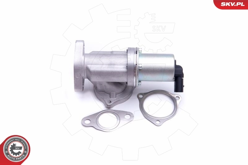 14SKV209 SKV Клапан рециркуляции отработавших газов EGR