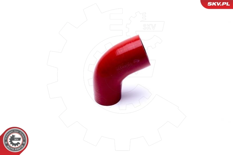  SKV 54SKV136 цена, от 41.72 USD