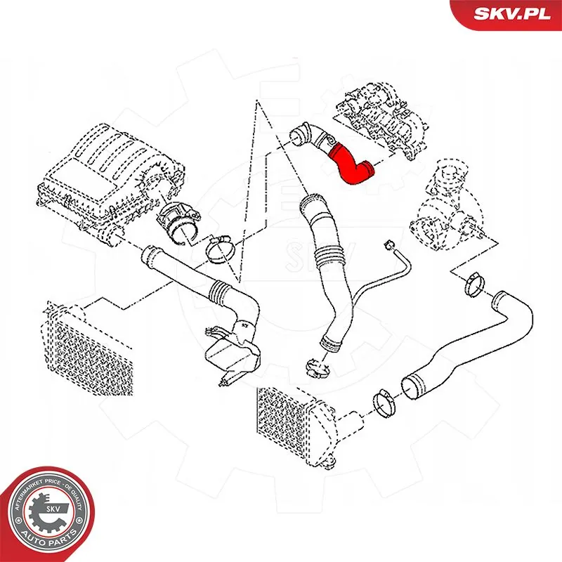  SKV 54SKV029