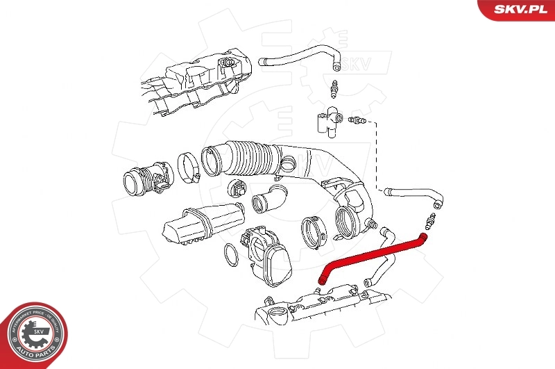 Купить 31SKV119 SKV Трубка картера воздушная