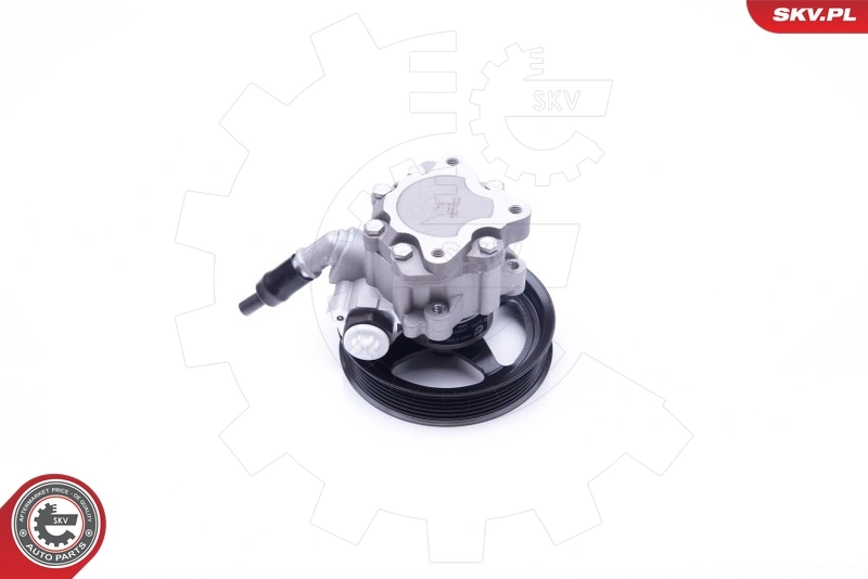 10SKV266 SKV ГУР руля