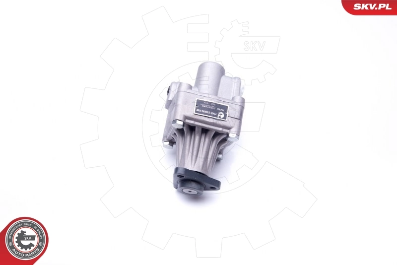 Насос гидроусилителя руля SKV 10SKV245