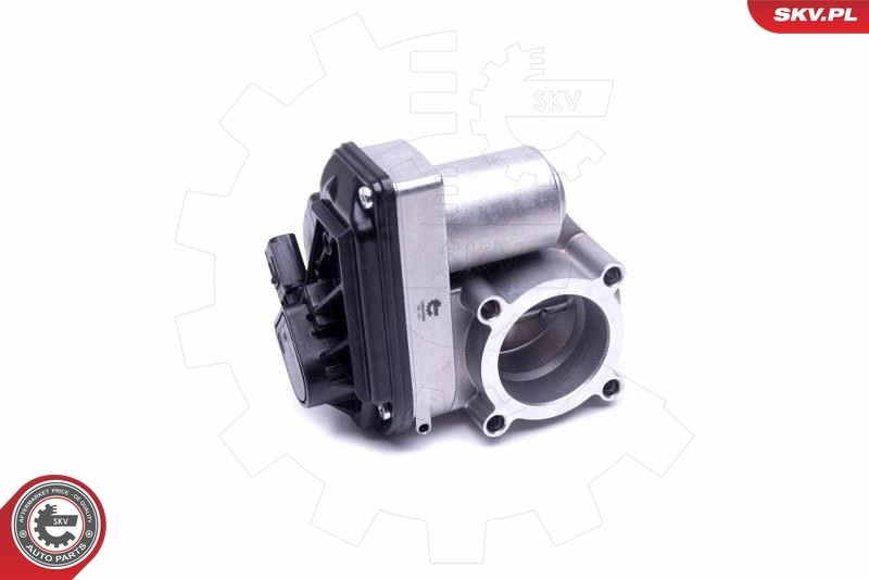 Válvula de borboleta montada Ford C-Max DM2