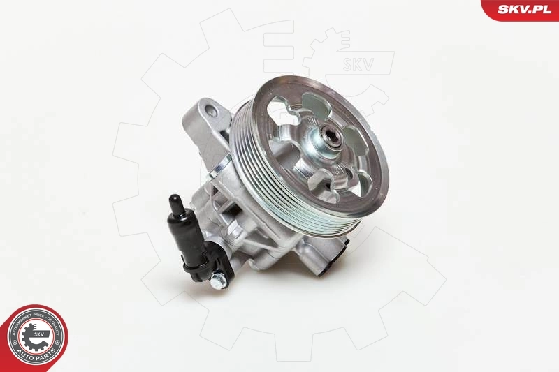 Насос ГУР 10SKV076 SKV