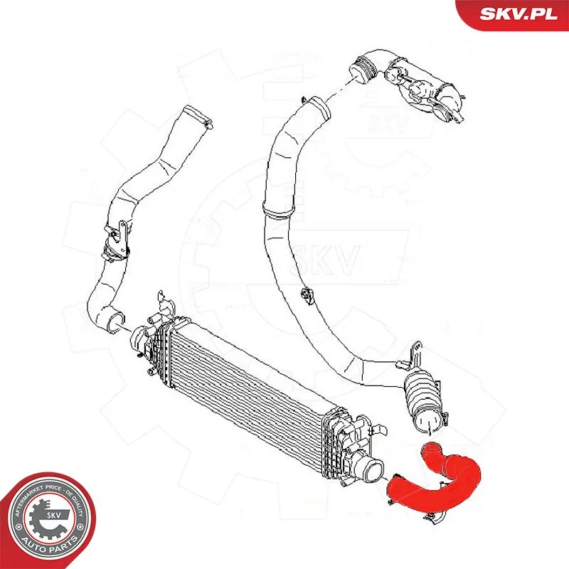 Купить 54SKV009 SKV Патрубок интеркулера