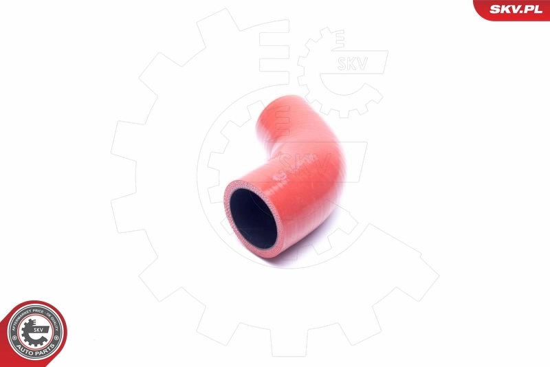 54SKV136 SKV 