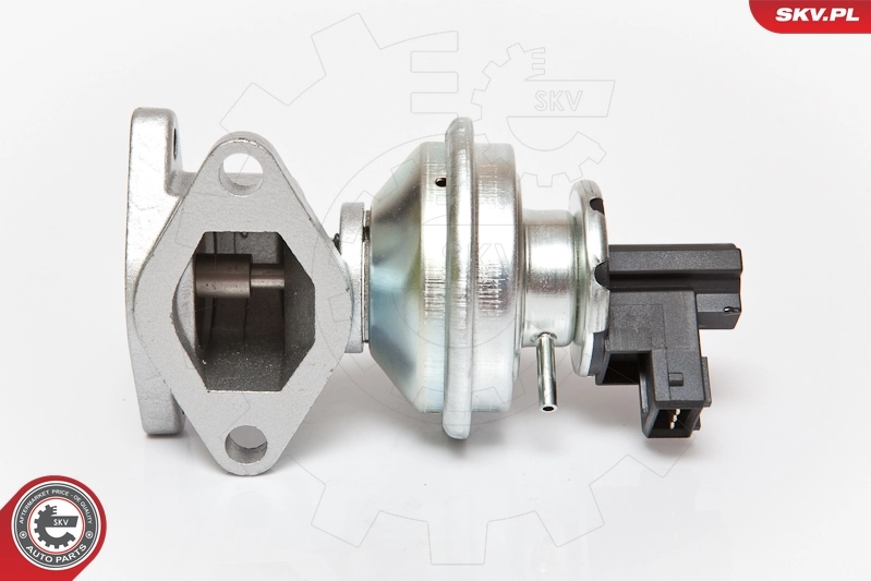 Válvula EGR de recirculação dos gases Land Rover Discovery 1 LG, LJ