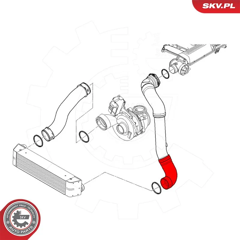 Купить 43SKV484 SKV 