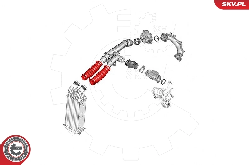 Купить 24SKV779 SKV Патрубок интеркулера