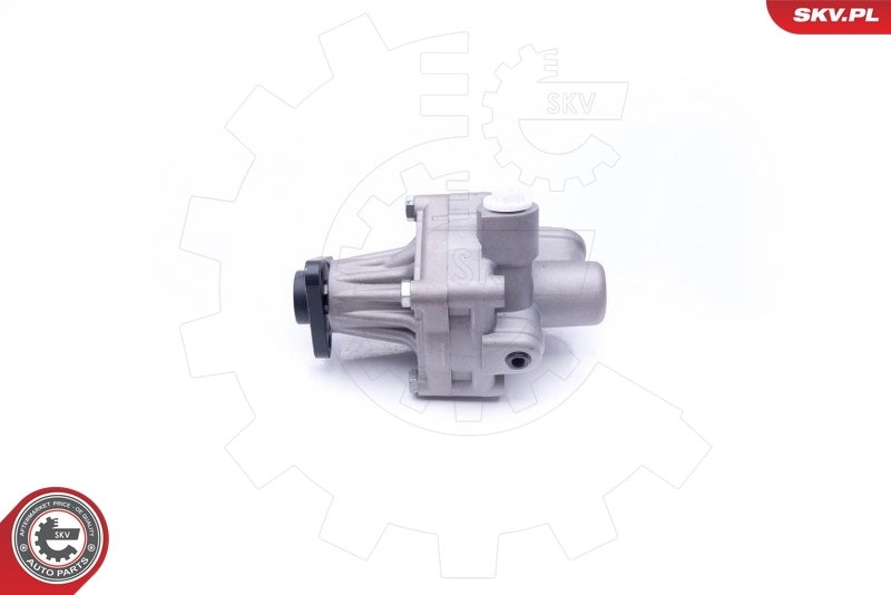 10SKV245 SKV ГУР руля