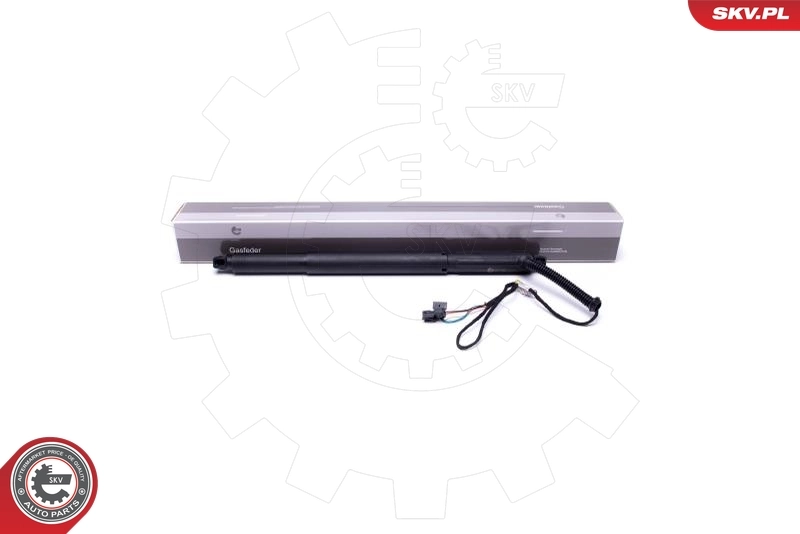 Amortecedor de tampa de porta-malas (de 3ª/5ª porta traseira) BMW X6 E71