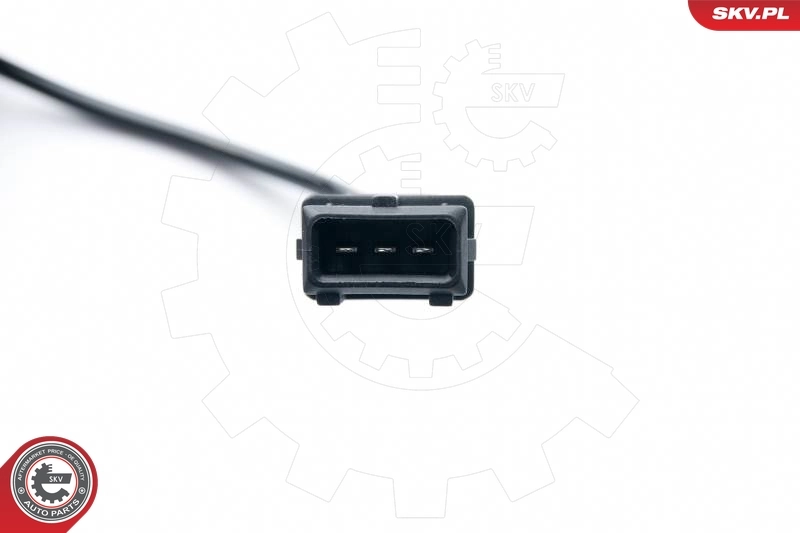 82030048 Case ДПКВ