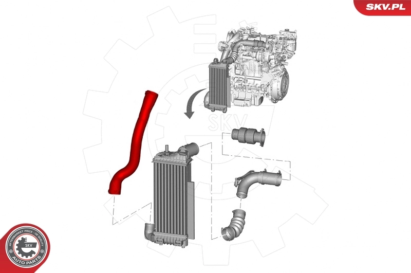 Купить 24SKV590 SKV Патрубок интеркулера