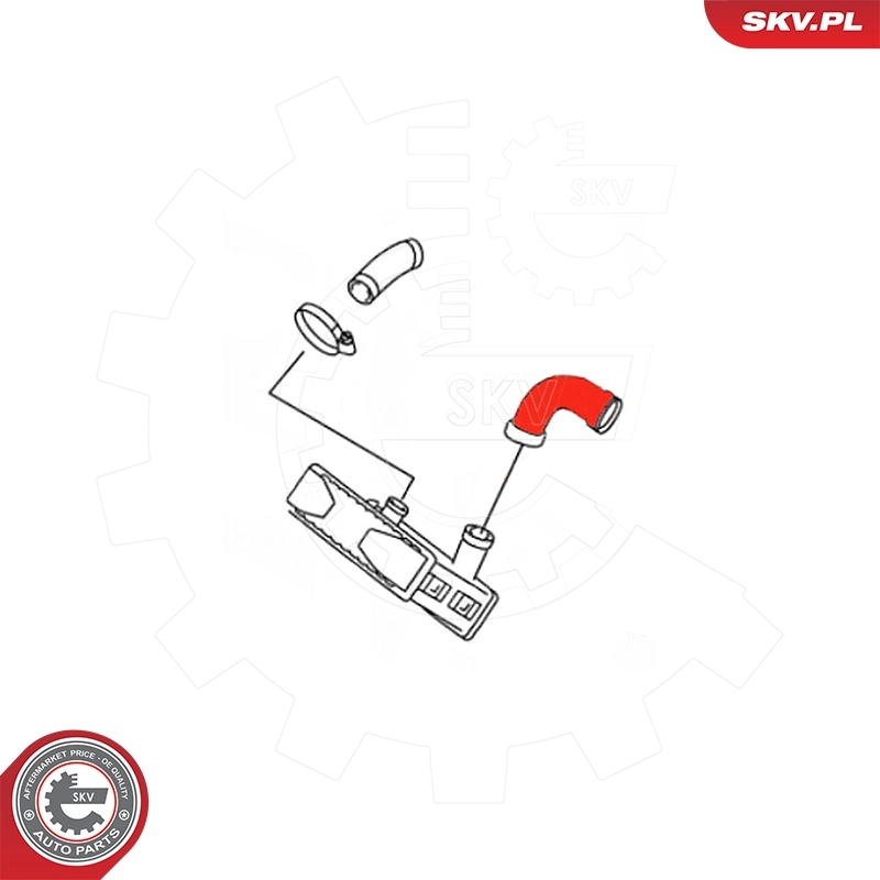 Купить 24SKV545 SKV 