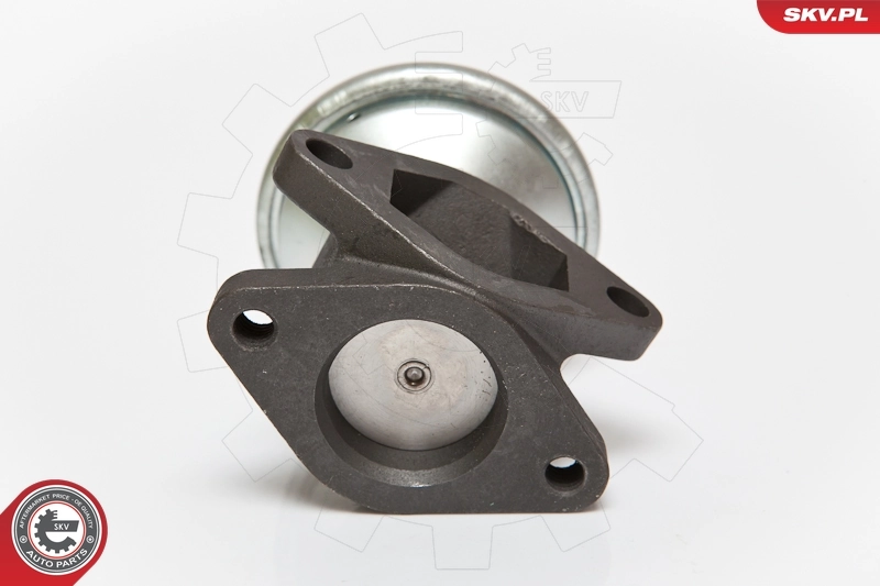 Válvula EGR de recirculação dos gases Opel Vectra 38