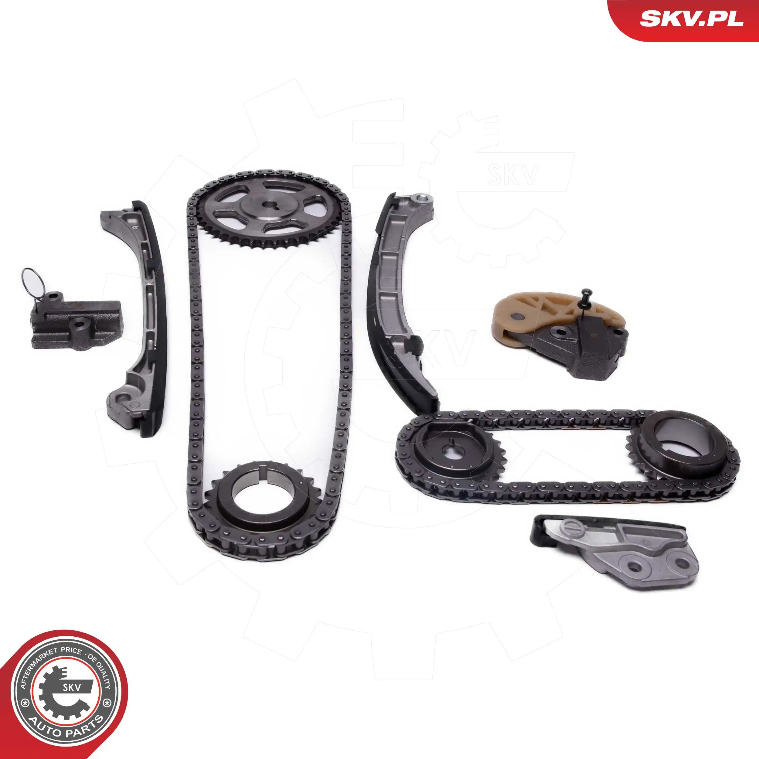 21SKV250 SKV Комплект цепи