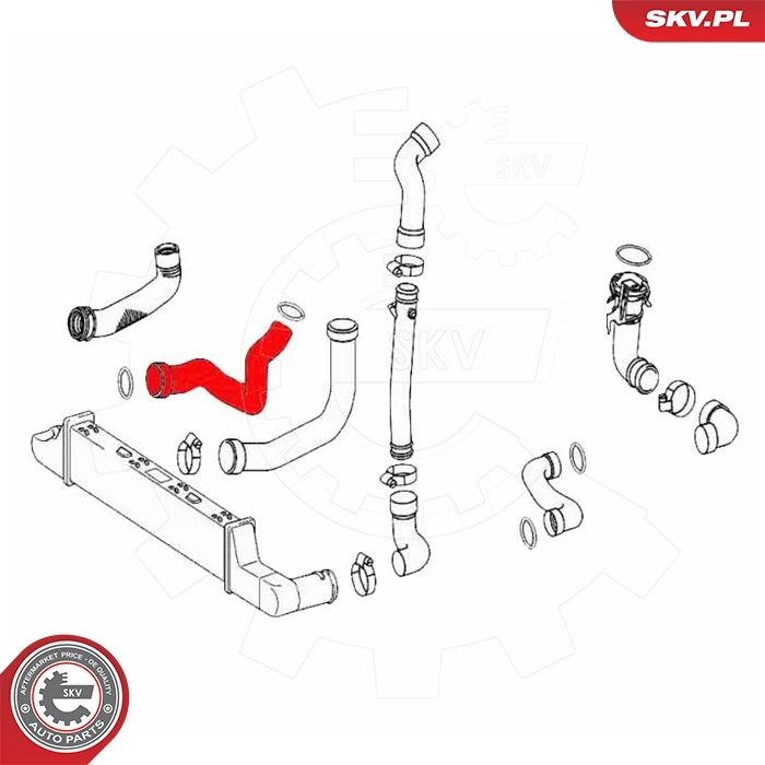 Купить 43SKV476 SKV Патрубок интеркулера