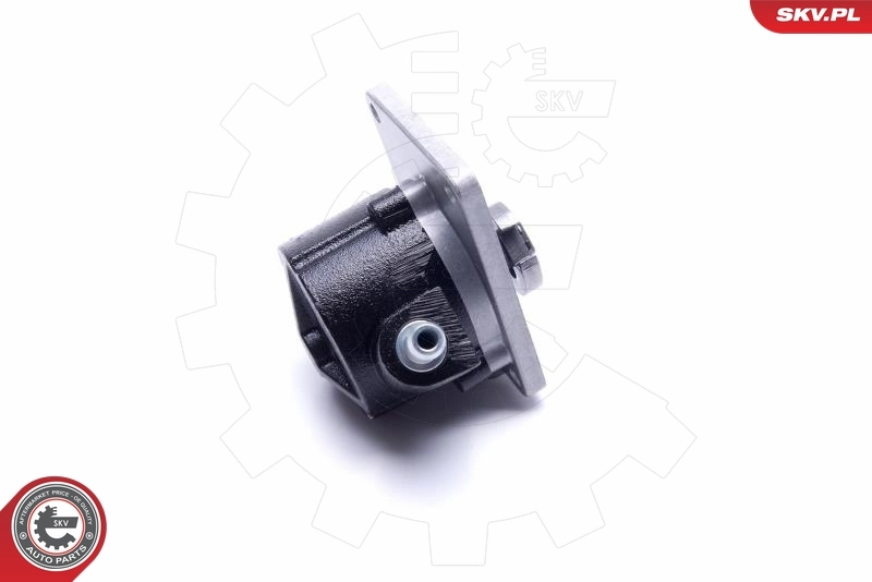 Купить 18SKV027 SKV Вакуумный насос