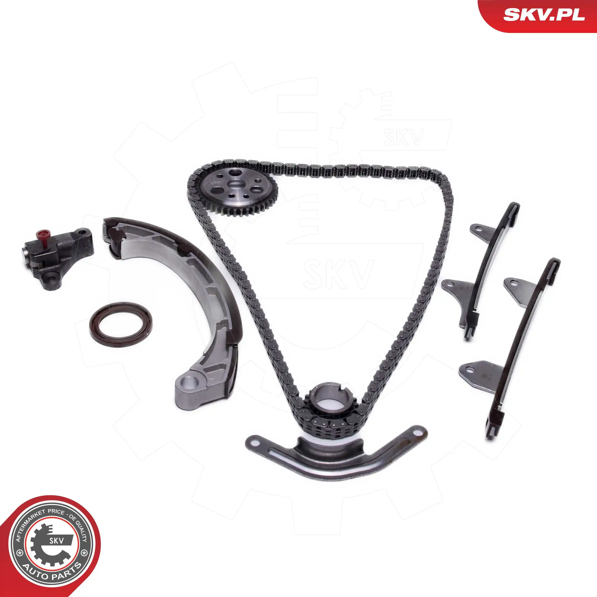 21SKV270 SKV Комплект цепи