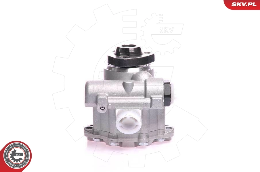 10SKV121 SKV ГУР руля