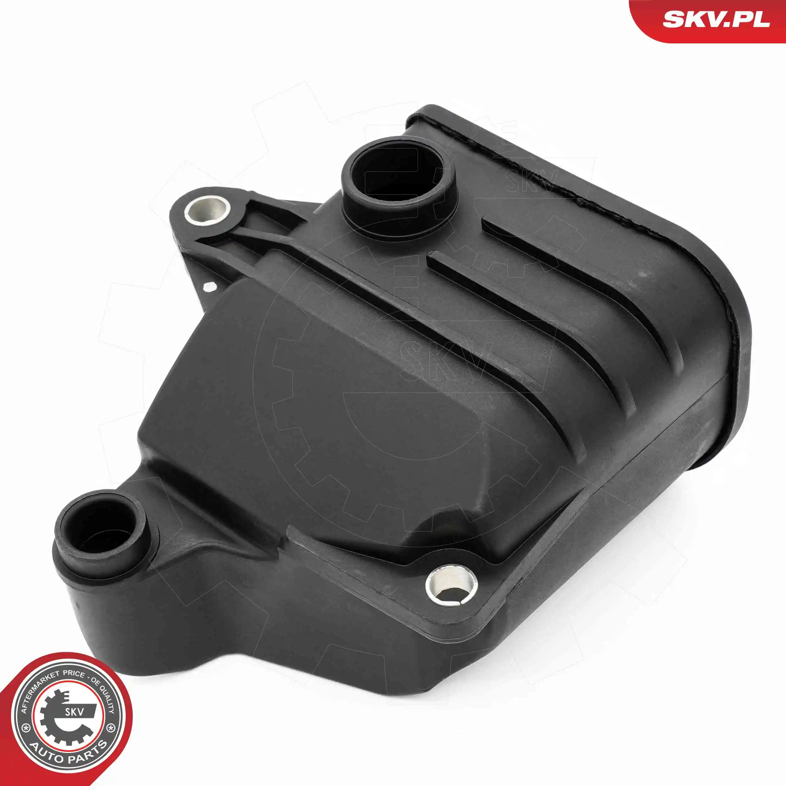 31SKV429 SKV 