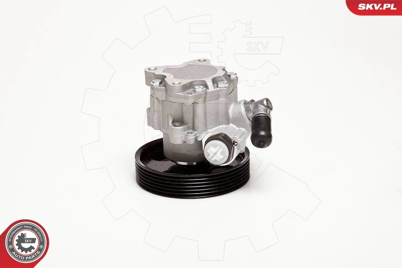Насос гидроусилителя руля SKV 10SKV098