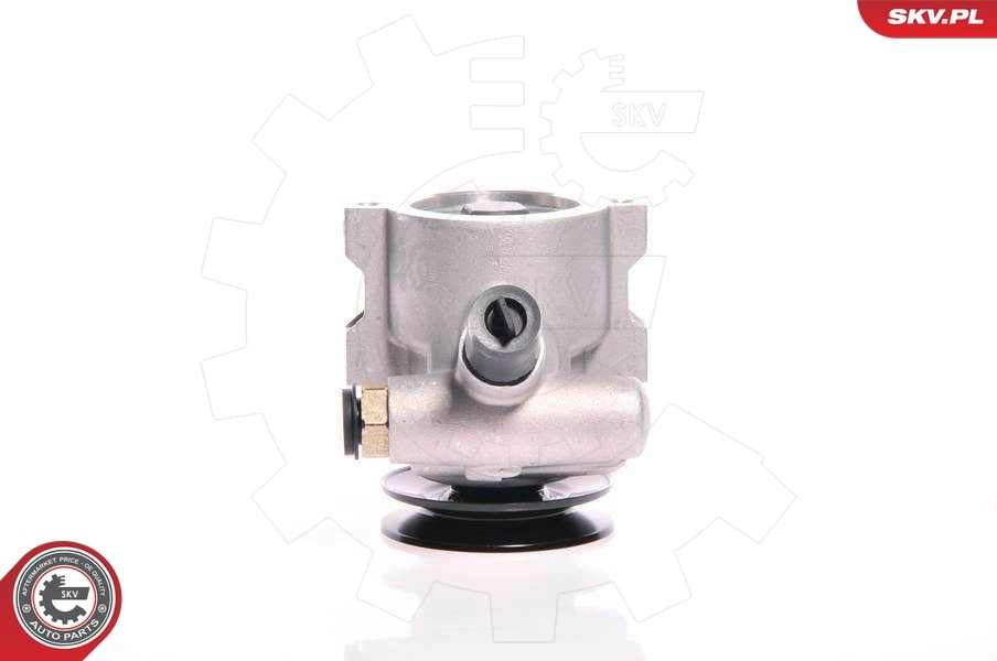 Bomba da Direção hidrâulica assistida Citroen C15 VD