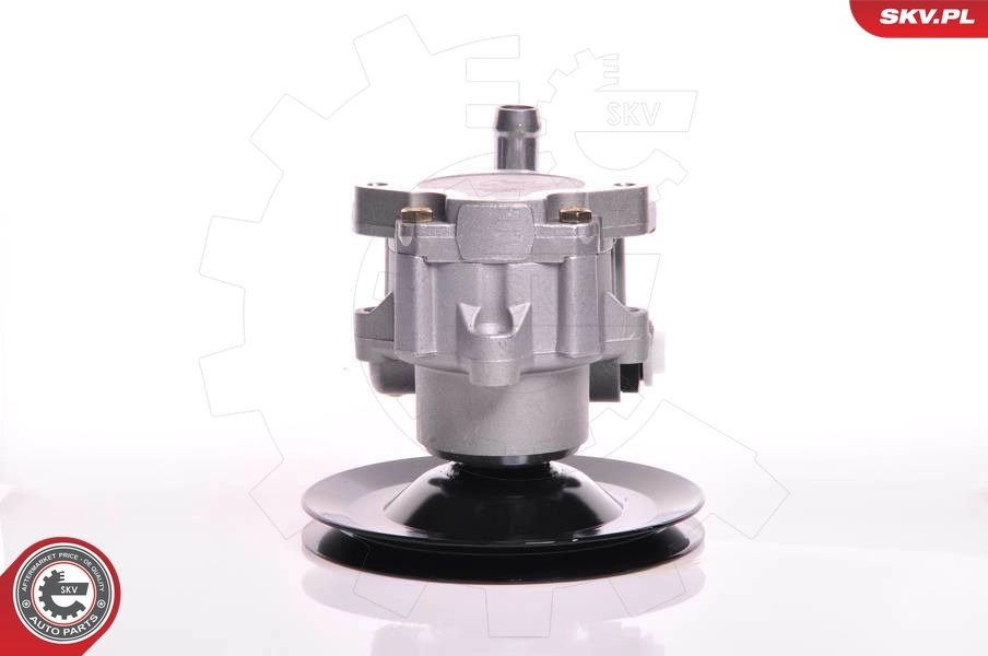 Насос гидравлики SKV 10SKV169 цена, от 96.64 USD