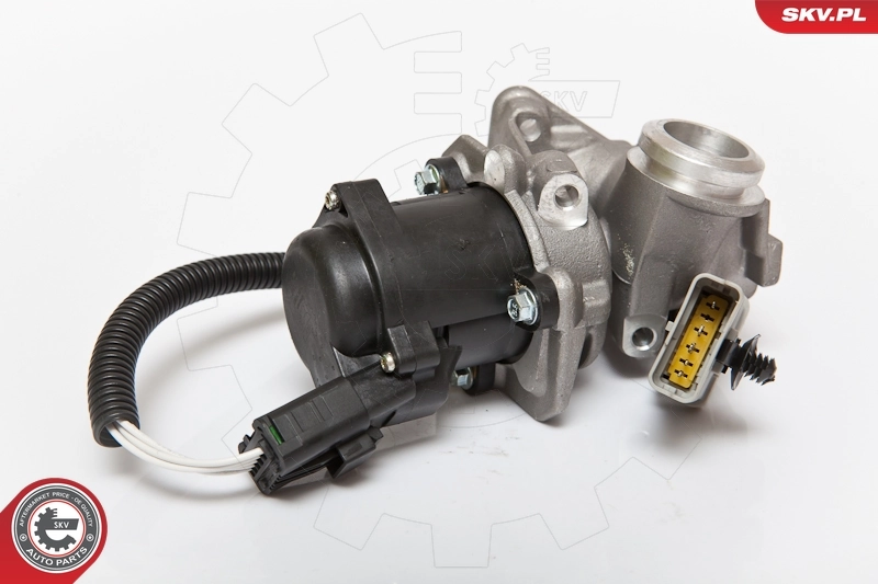 Клапан EGR, рециркуляции газов SKV 14SKV067