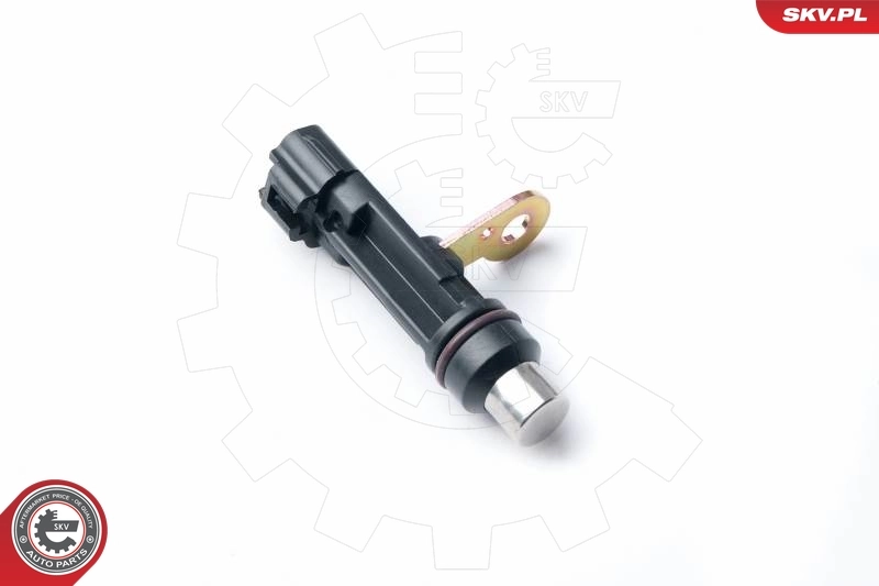 17SKV319 SKV ДПКВ