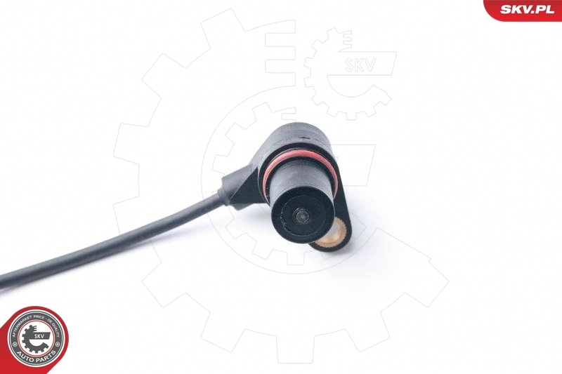 17SKV265 SKV ДПКВ