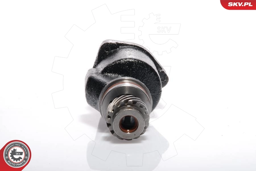 Bomba a vácuo Ford Galaxy WGR