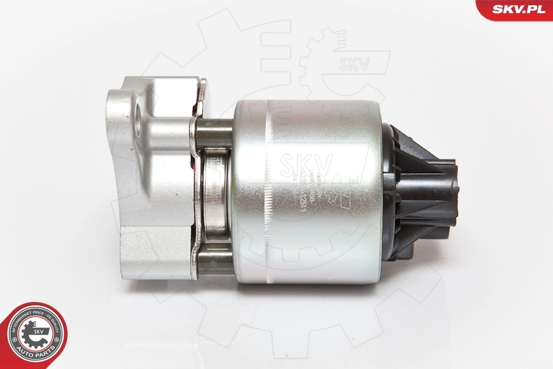 Válvula EGR de recirculação dos gases Fiat Punto 176C