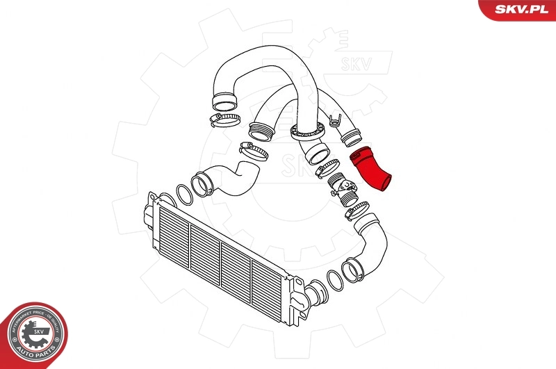Купить 43SKV108 SKV Патрубок интеркулера