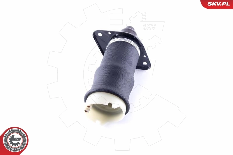 Пневмоподушка/пневморессора моста заднего SKV 58SKV040 цена, от 139.08 USD
