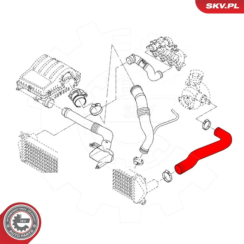 Купить 54SKV021 SKV 