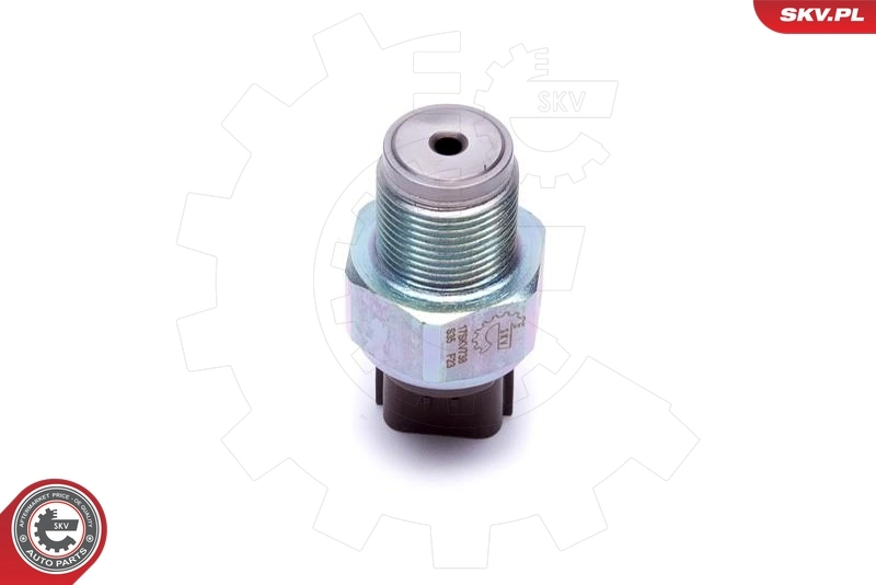 17SKV738 SKV Манометры