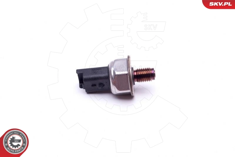 17SKV585 SKV Манометры