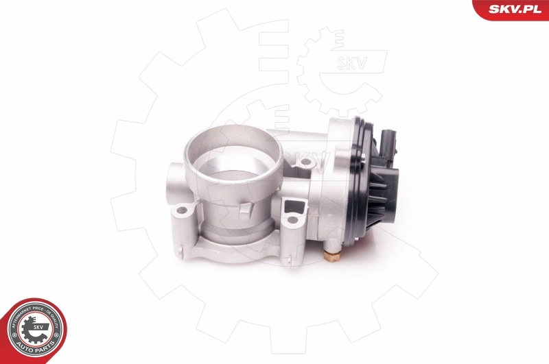 Дроссельная заслонка в сборе SKV 12SKV069 цена, от 80.79 USD