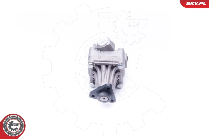Насос гидравлики SKV 10SKV245 цена, от 102.51 USD