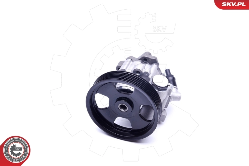 Насос гидроусилителя руля SKV 10SKV241