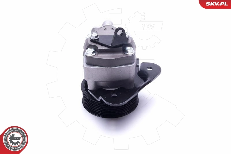 Насос гидравлики SKV 10SKV310 цена, от 182.71 USD