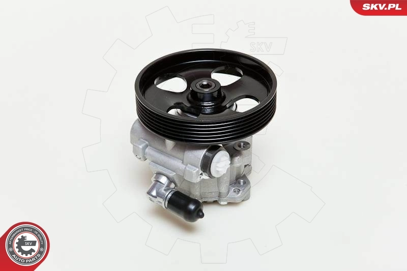 Насос ГУР 10SKV009 SKV