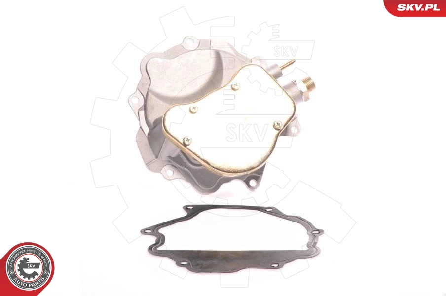 Bomba a vácuo Mercedes Bus 207-310 602