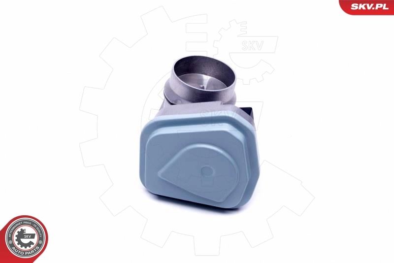 Válvula de borboleta montada BMW X5 E53