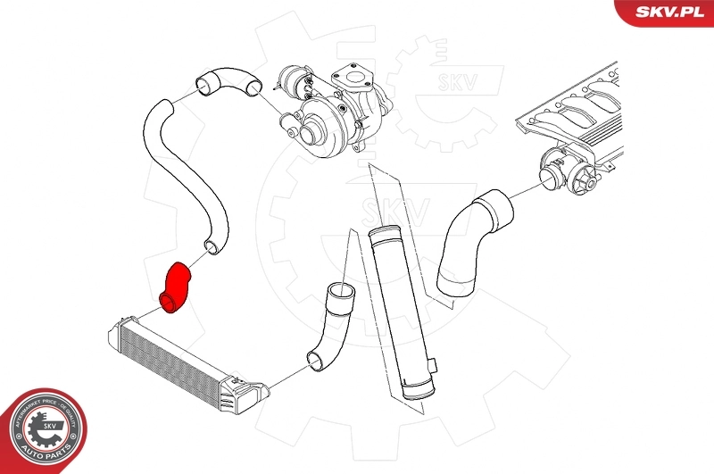 Купить 24SKV530 SKV 